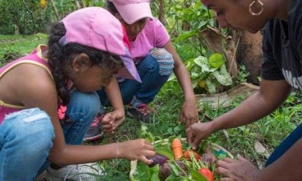 Fun And Learning In The Fall Garden