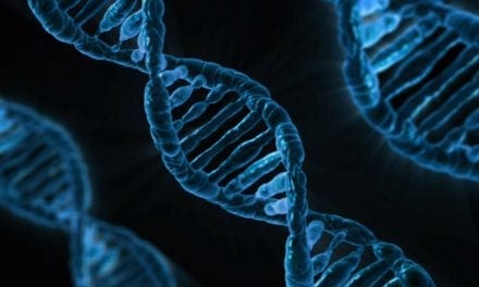New Lecture Series on Teaching Evolution