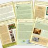 Magic Forest Academy - Autumn Bundle eBook - Image 5