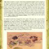 Magic Forest Academy - Autumn Bundle eBook - Image 2