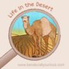 Life in the Desert