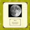 Magic Forest Academy - Moon eBook