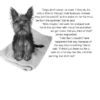 One Minute Mysteries: 65 MORE Short Mysteries You Solve With Science eBook - Image 2