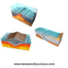 Plate Tectonics: The Changing Continents - Image 5