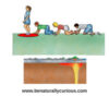 Plate Tectonics: The Changing Continents - Image 6