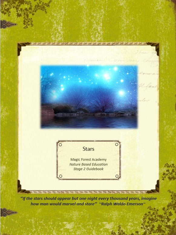 Magic Forest Academy - Rocks, Gems & Minerals eBook - SEA Books & More