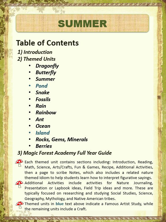 Magic Forest Academy - Rocks, Gems & Minerals eBook - SEA Books & More