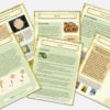 Magic Forest Academy - Summer eBook - Image 3