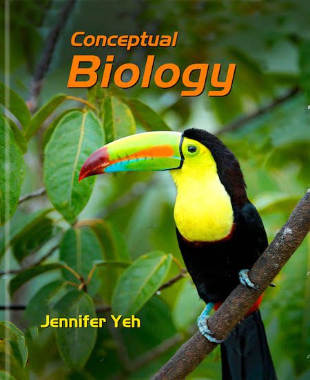 Conceptual Biology, PDF Textbook Included - SEA Books & More