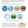 The Science of Climate Change: A Hands-On Course - Image 10