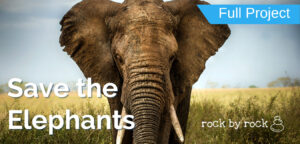 Rock by Rock: Real-World, Hands-On Projects for K–8