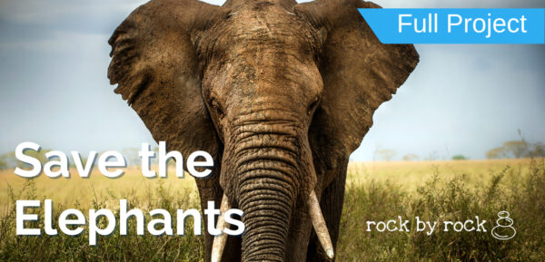 Rock by Rock: Real-World, Hands-On Projects for K–8 - Image 2