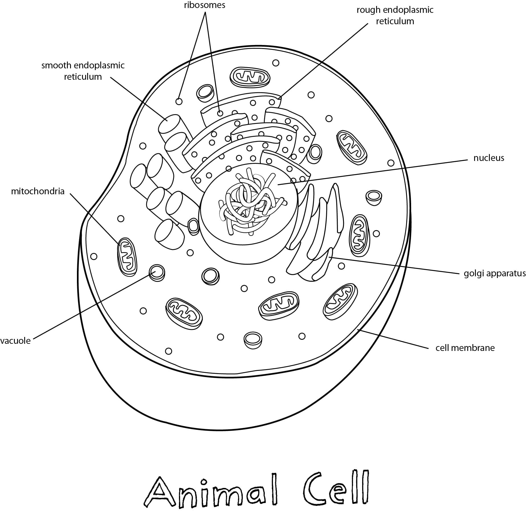 Using REAL Science Odyssey Biology 2 for a Co-op Class -