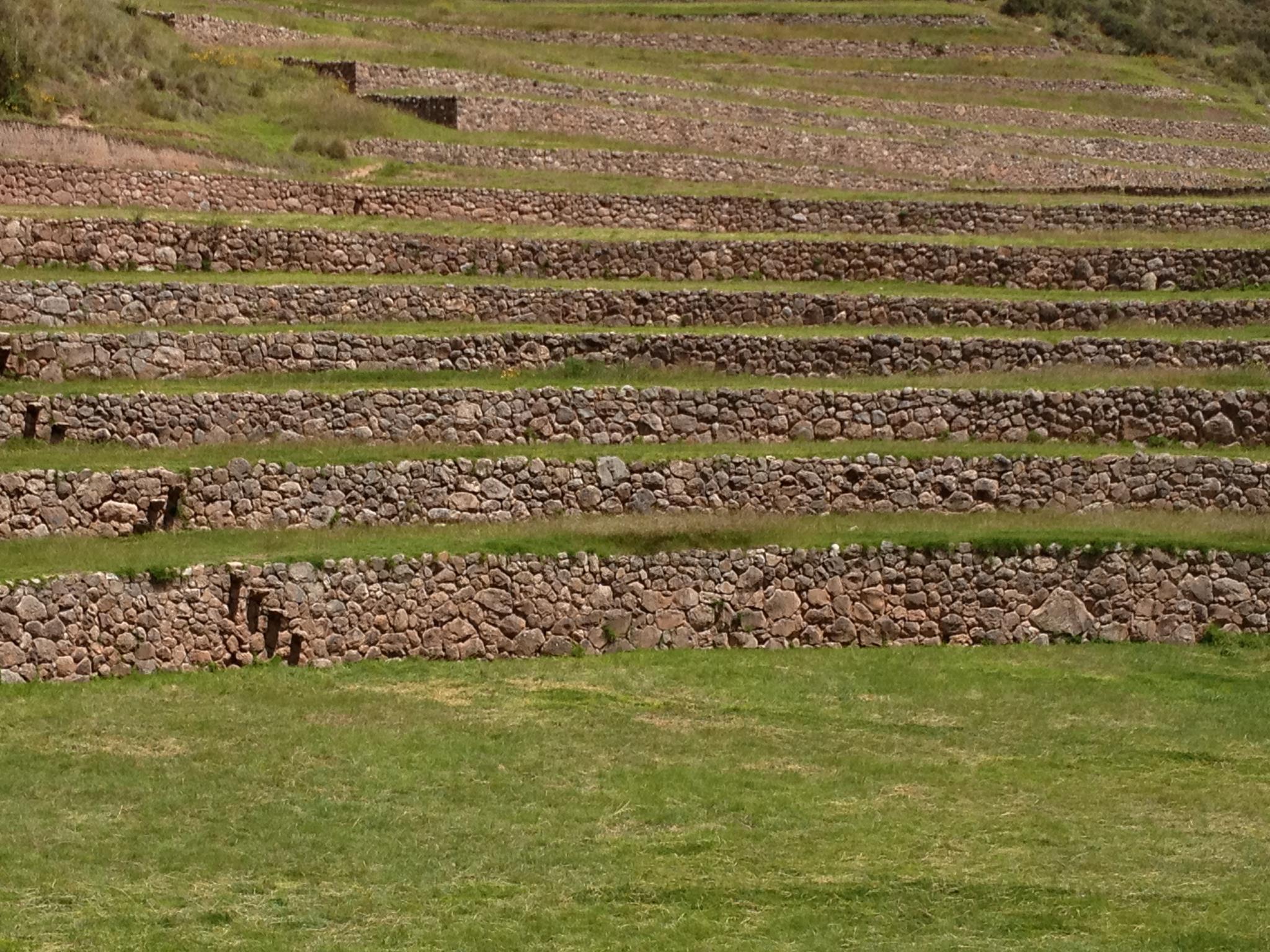 Moray Peru from the bottom up day 5