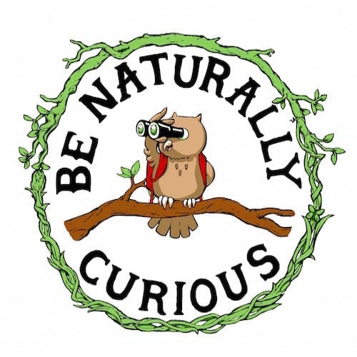 Be Naturally Curious