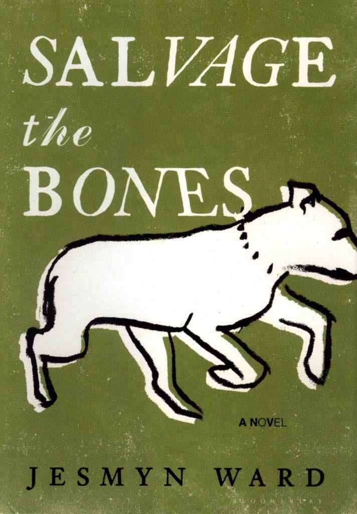 salvage the bones a novel