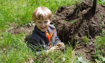 Plant a Native Garden with Your Kids