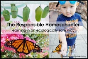 The Responsible Homeschooler