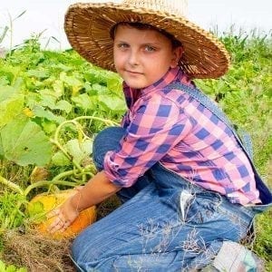 Pumpkin Harvest for Fun and Learning in the Fall Garden