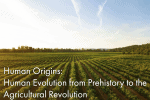 a field of planted crops in rows