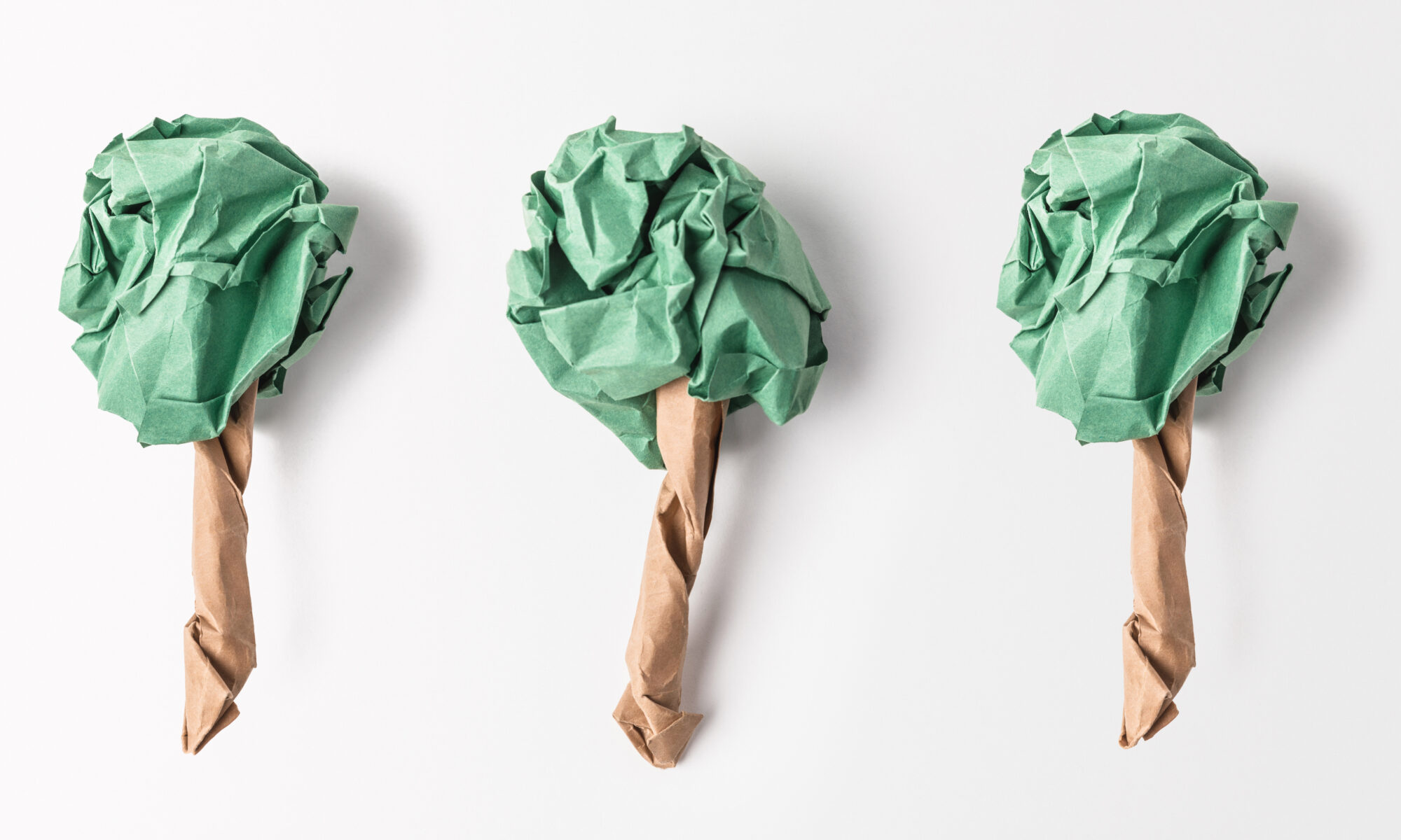 Make Recycled Paper, Ask Blair, Fun Science Activities, SEA Homeschoolers, Secular Science, Environmental Science