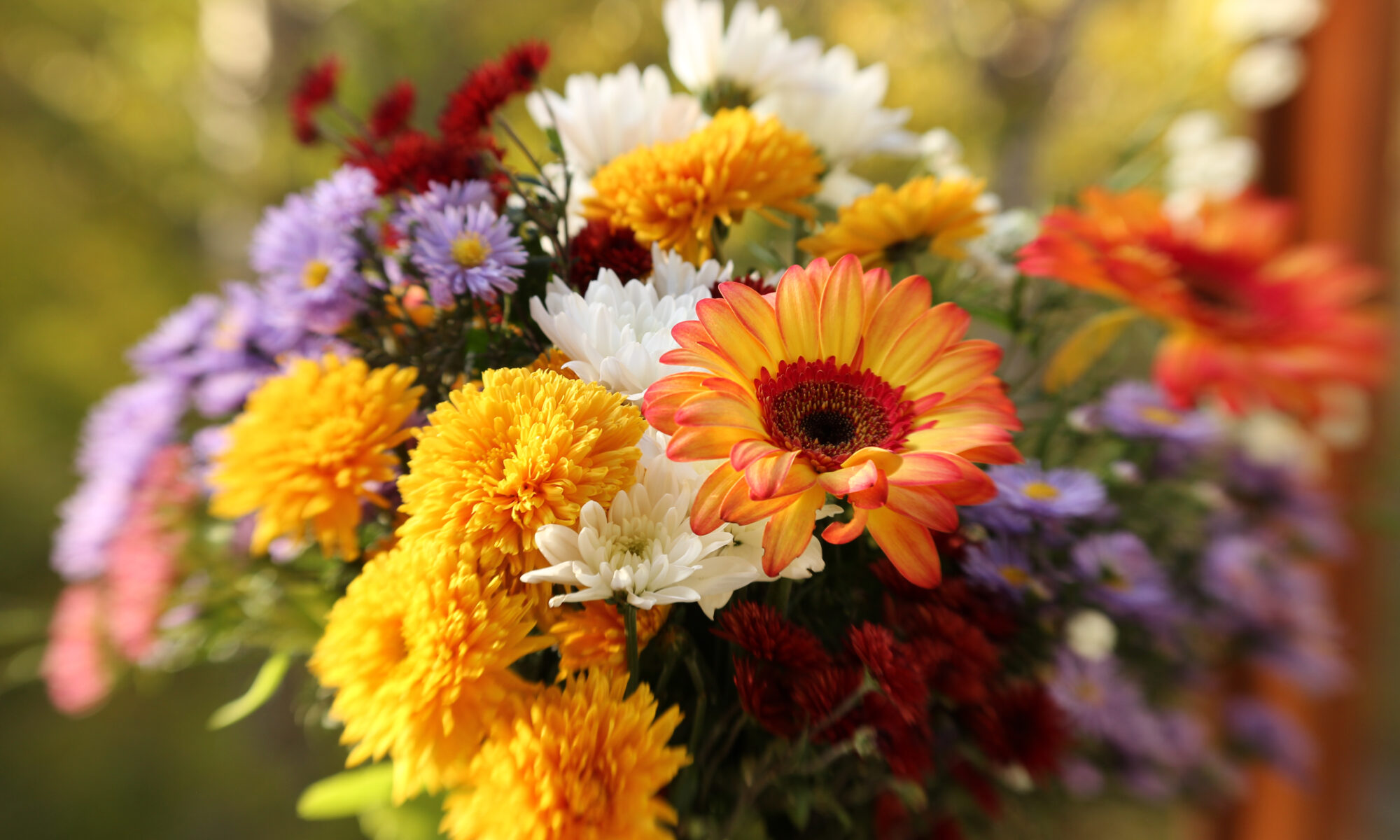 Flowers Have Differences, botany, biology, transpiration, Ask Blair, seahomeschoolers.com, Blair Lee, Fun Science Activities