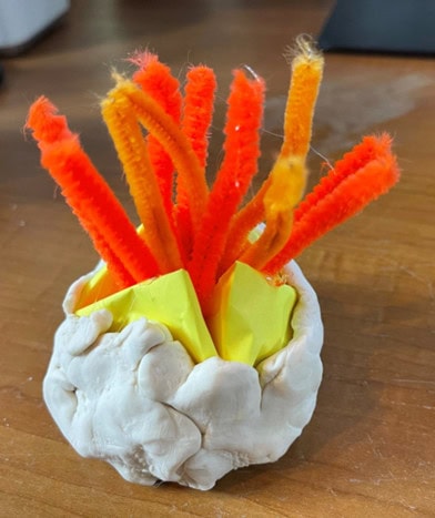 Make a Model of a Barnacle, Ask Blair, seahomeschoolers.com, Blair Lee, Fun Science Activities, Marine Science
