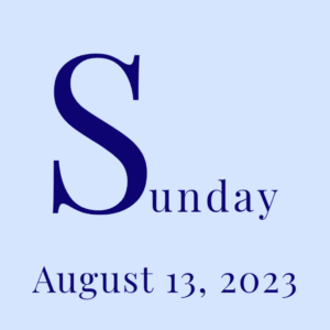 sun-1 (4)