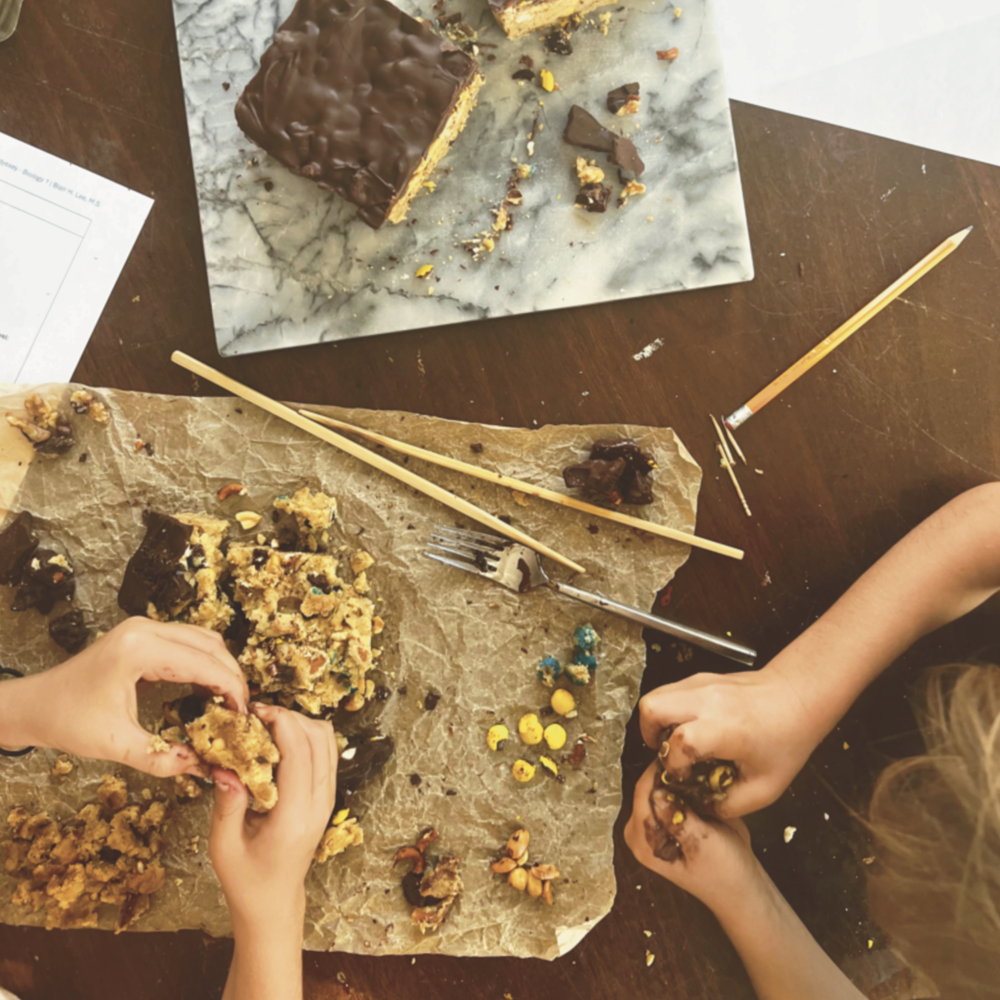 Homeschool Science Edible Fossil Dig - Two Children Digging Through Cookie to Find Fossils (Candy)