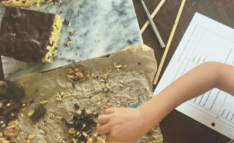 Homeschool Science Edible Fossil Dig - Little Boy Digging Through Cookie to Find Fossils (Candy)