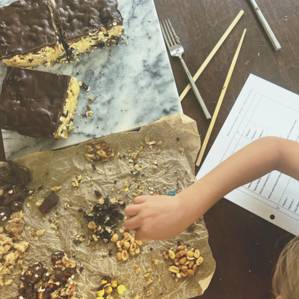 Homeschool Science Edible Fossil Dig - Little Boy Digging Through Cookie to Find Fossils (Candy)