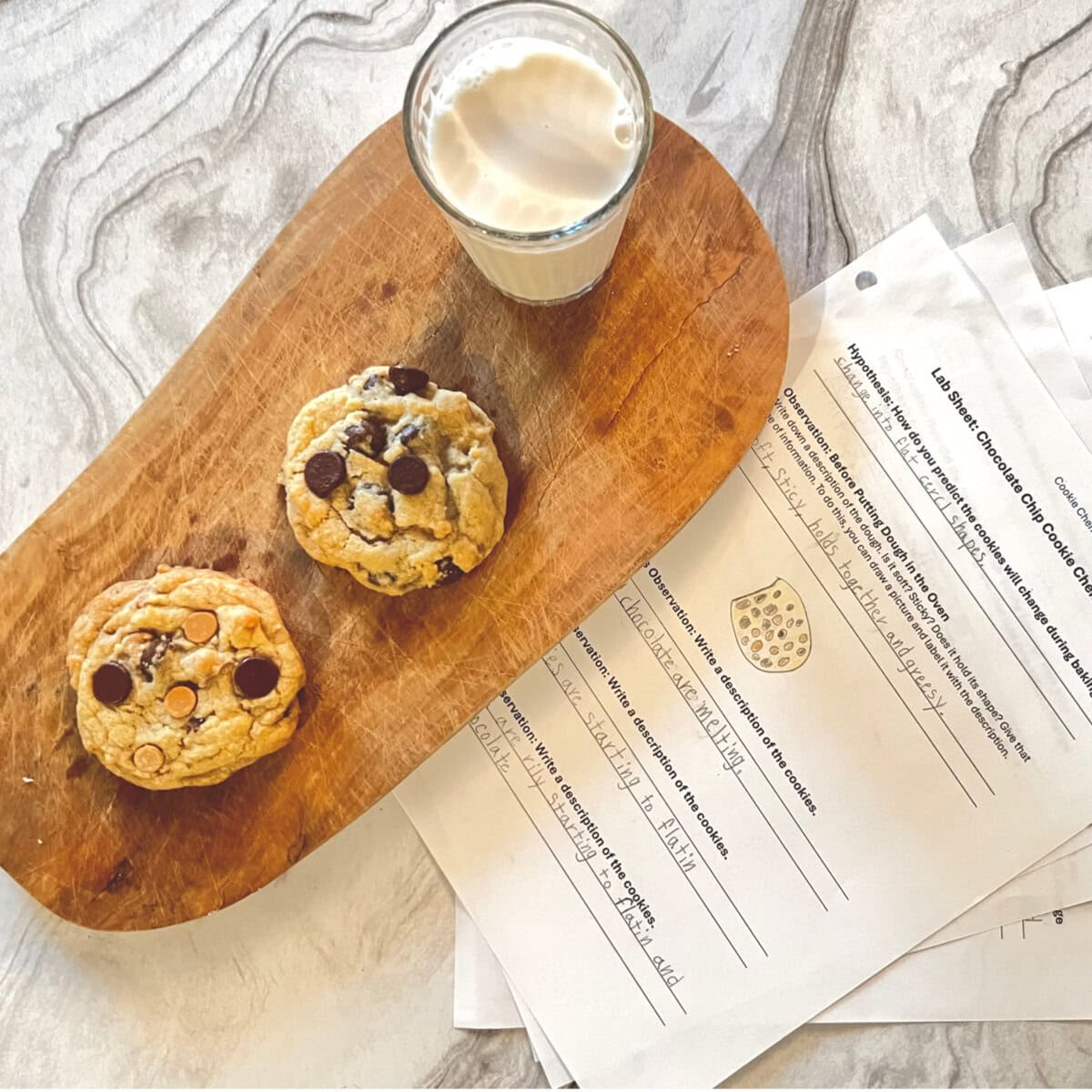 Homeschool Science Activity: Chocolate Chip Cookie Chemistry Homeschool Science Activity - Chocolate Chip Cookie Chemistry - Two Cookies Sitting on Board with Glass of Milk, Chocolate Chip Cookie Chemistry Lab Sheets Sitting Next to Cookies