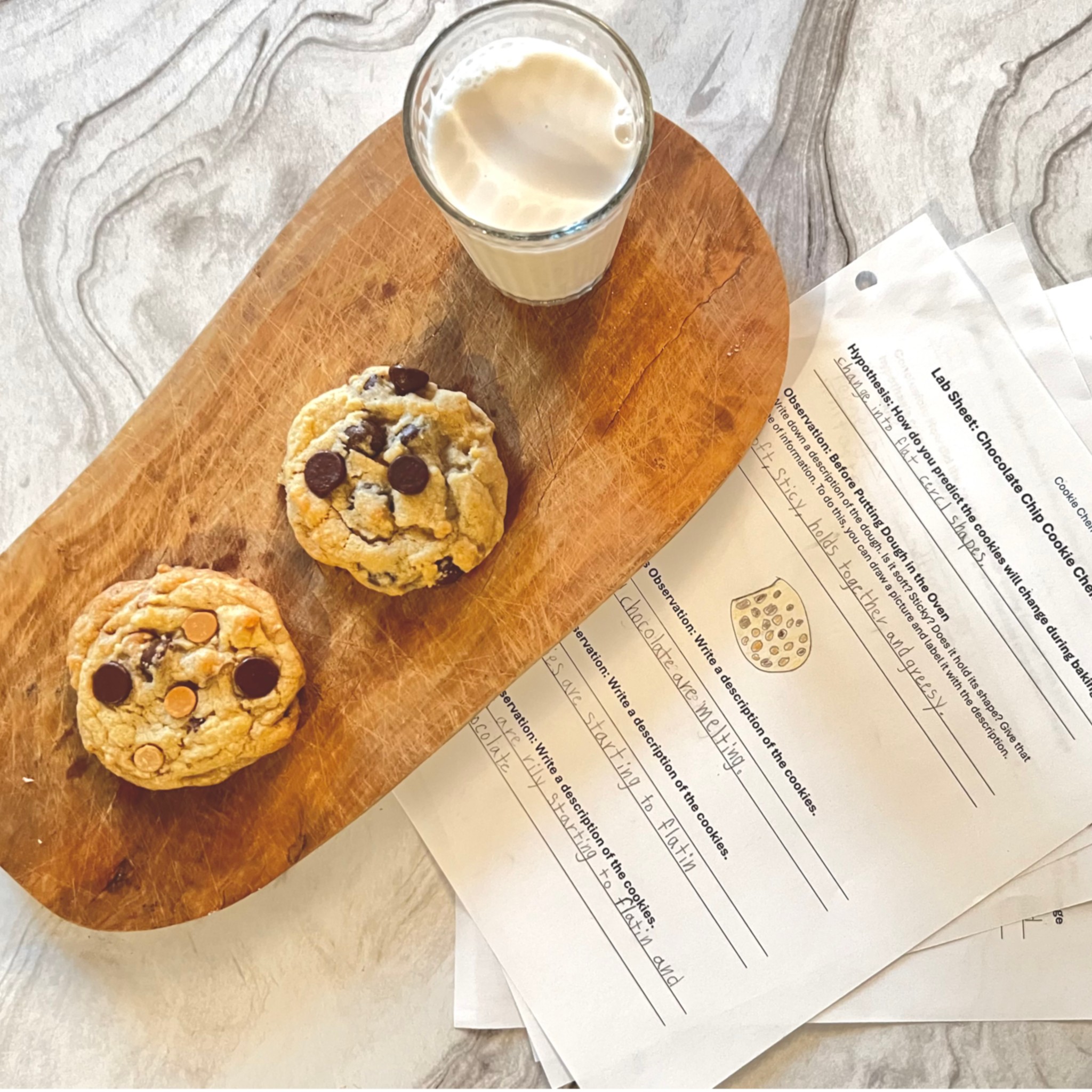 Homeschool Science Activity - Chocolate Chip Cookie Chemistry - Two Cookies Sitting on Board with Glass of Milk, Chocolate Chip Cookie Chemistry Lab Sheets Sitting Next to Cookies