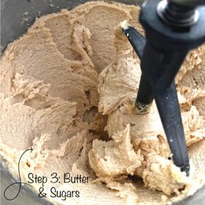 Homeschool Science Activity: Chocolate Chip Cookie Chemistry Homeschool Science Activity: Chocolate Chip Cookie Chemistry - Butter, Brown Sugar, White Sugar Being Mixed Together in Stand Mixer