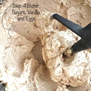 Homeschool Science Activity: Chocolate Chip Cookie Chemistry Chocolate Chip Cookie Chemistry Activity: Mixing butter, sugars, vanilla, and eggs in stand mixer.