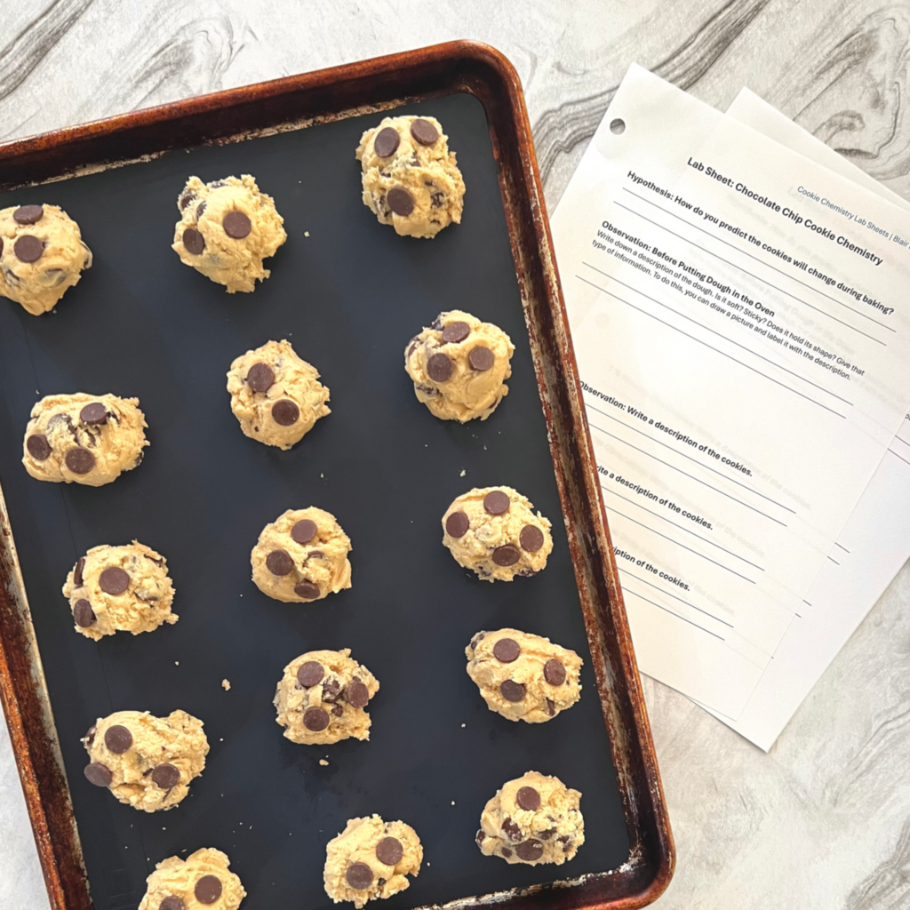 Homeschool Science Activity: Chocolate Chip Cookie Chemistry - Pan of Chocolate Chip Cookie Dough Ready to be Baked with Lab Sheets