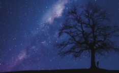 Science Teaching Methods: Tall tree silhouette with man silhouette against a dark night sky full of stars