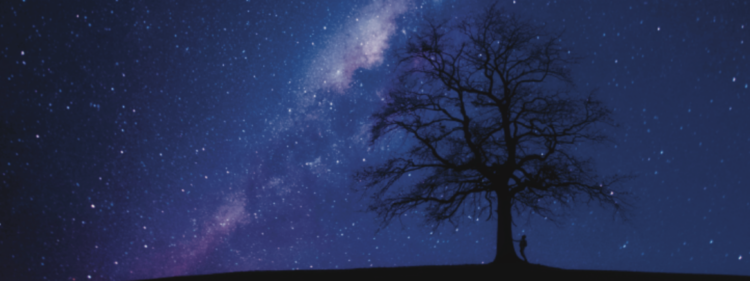 Science Teaching Methods: Tall tree silhouette with man silhouette against a dark night sky full of stars