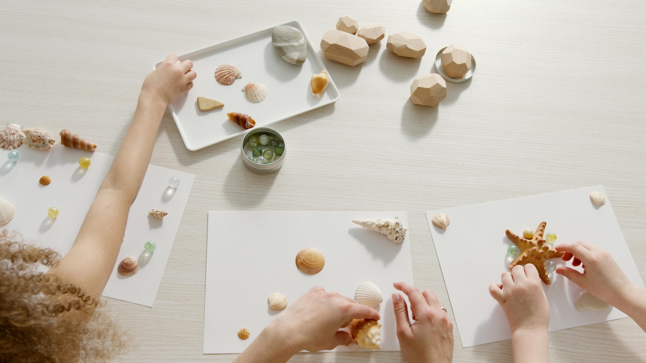 Children hands sorting shells, rocks, and wooden blocks.